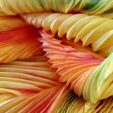 Shibori Scarf summer