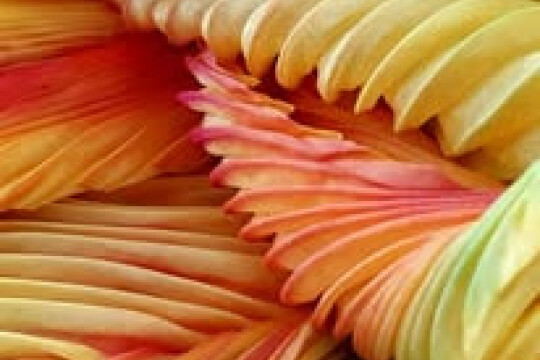 Shibori Scarf summer