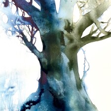 20919955 EC0B 4D85 9E3B 4AAAF20858DD