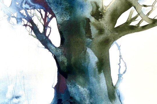 20919955 EC0B 4D85 9E3B 4AAAF20858DD