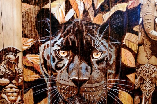Robin Baker Creative 01   black panther
