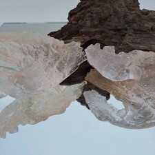 Anthropocene II detail