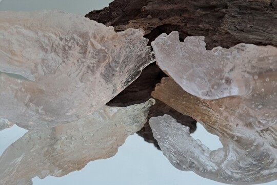 Anthropocene II detail