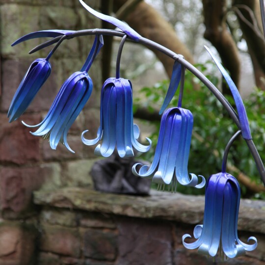 Bluebellss