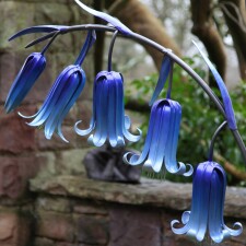 MissFire Bluebells