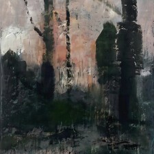 d55833e0 5f78 4659 8ec7 2f30908cce01