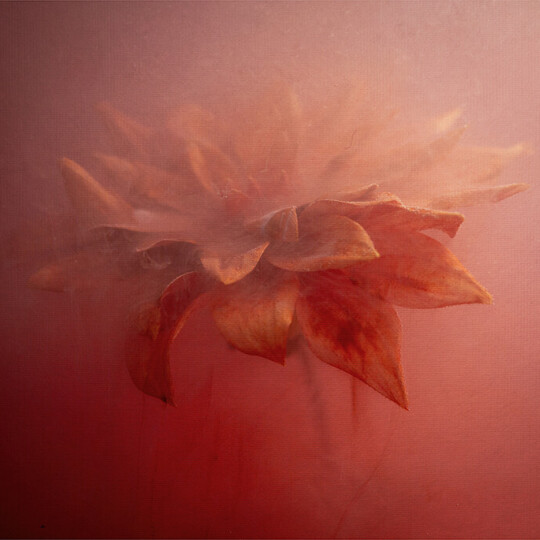 Emma Davies hues of autumn 64mm x 58mm for FarOpen brochure