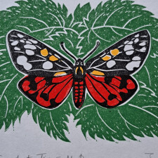 summer exhibition (6)