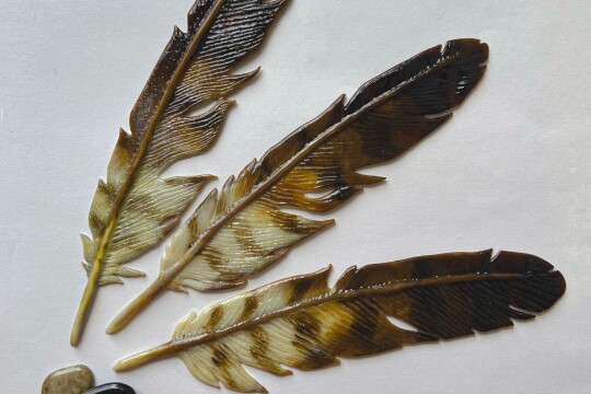 LCfeathers