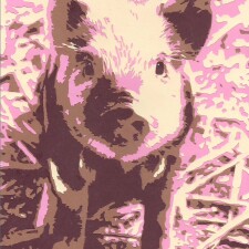 Piggie 4