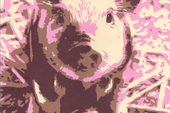 Piggie 4