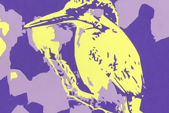 Square kingfisher