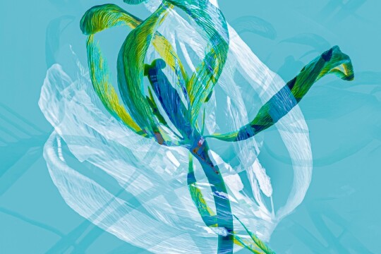 pirouette janesimmonds