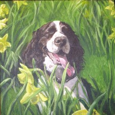 'Springer' Acrylic on canvas 18x18 inches SOLD