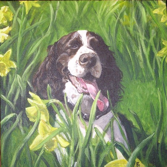 'Springer' Acrylic on canvas 18x18 inches SOLD