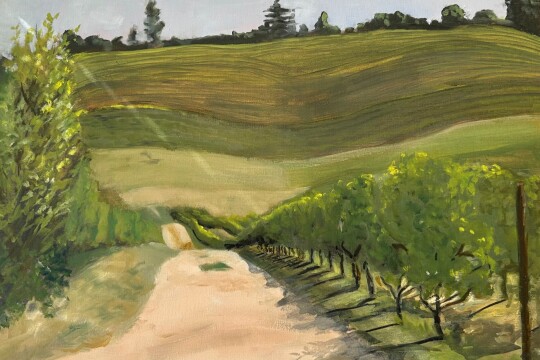 Vineyard Track