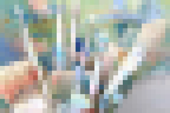 B856CD03 ED2F 423B 9BB4 2012DDA9AACD 1 105 c
