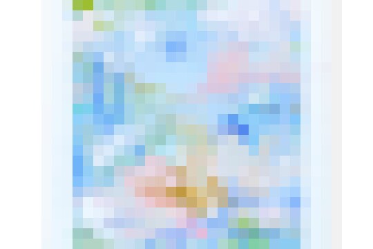 Charlotte Keating Drifting Light Falling Blooms 3 Storyboard Abstract Painting