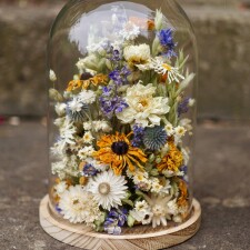 Shanna Ludwig large bell jar flowers