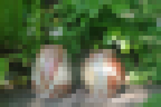 EarthTones10