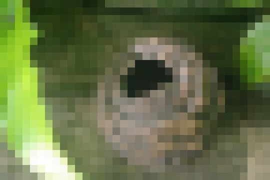 EarthTones11