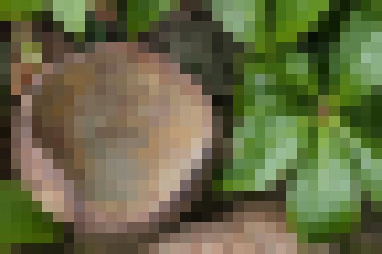 EarthTones4