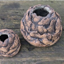 Earthtones   Possibly Pinecones