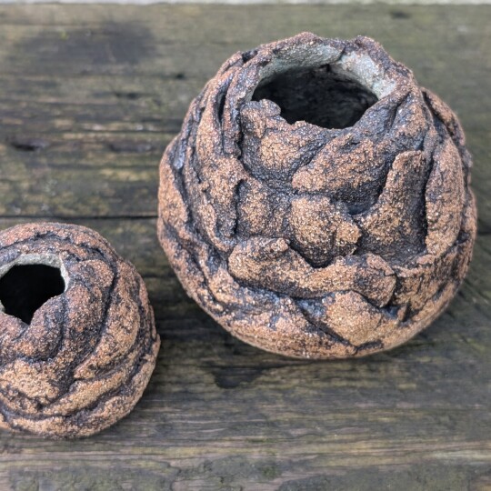 Earthtones   Possibly Pinecones