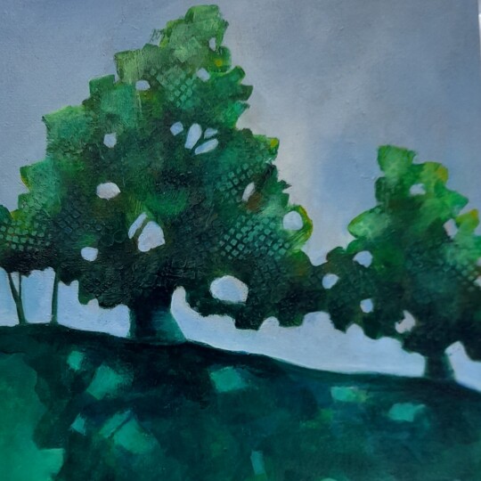 Summer shadows
